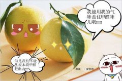 去除甲醛的方法多種多樣，哪種最實(shí)用靠譜